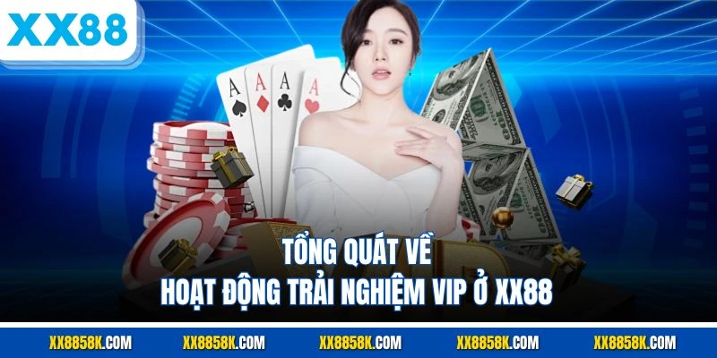 Tổng quát về hoạt động trải nghiệm VIP ở XX88
